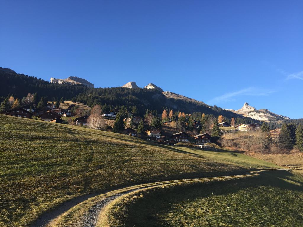 La Petite Silene Apartment Leysin Phòng bức ảnh
